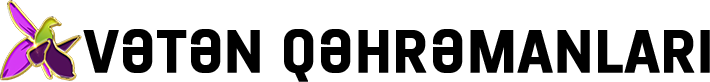 VƏTƏNQƏHRƏMANLARI